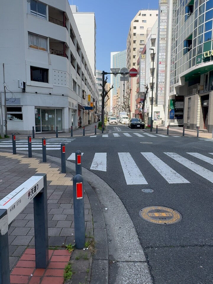 関内桜通りの八重桜がとても綺麗💕